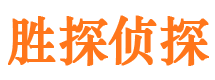 陆川侦探